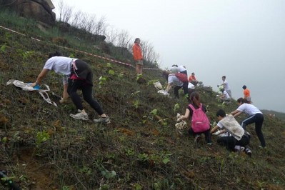 今年逾700人報(bào)名參加，為一幅去年被山火燒去大范圍林木的山坡種植約6,000棵樹苗。